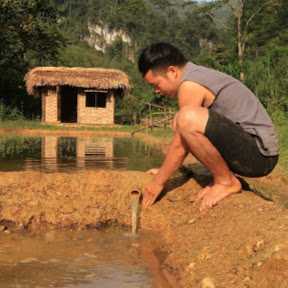tran minh