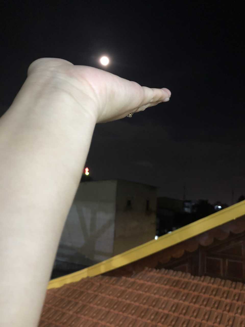 vy lệ