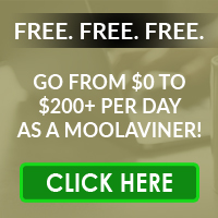 Welcome to MoolaVine
