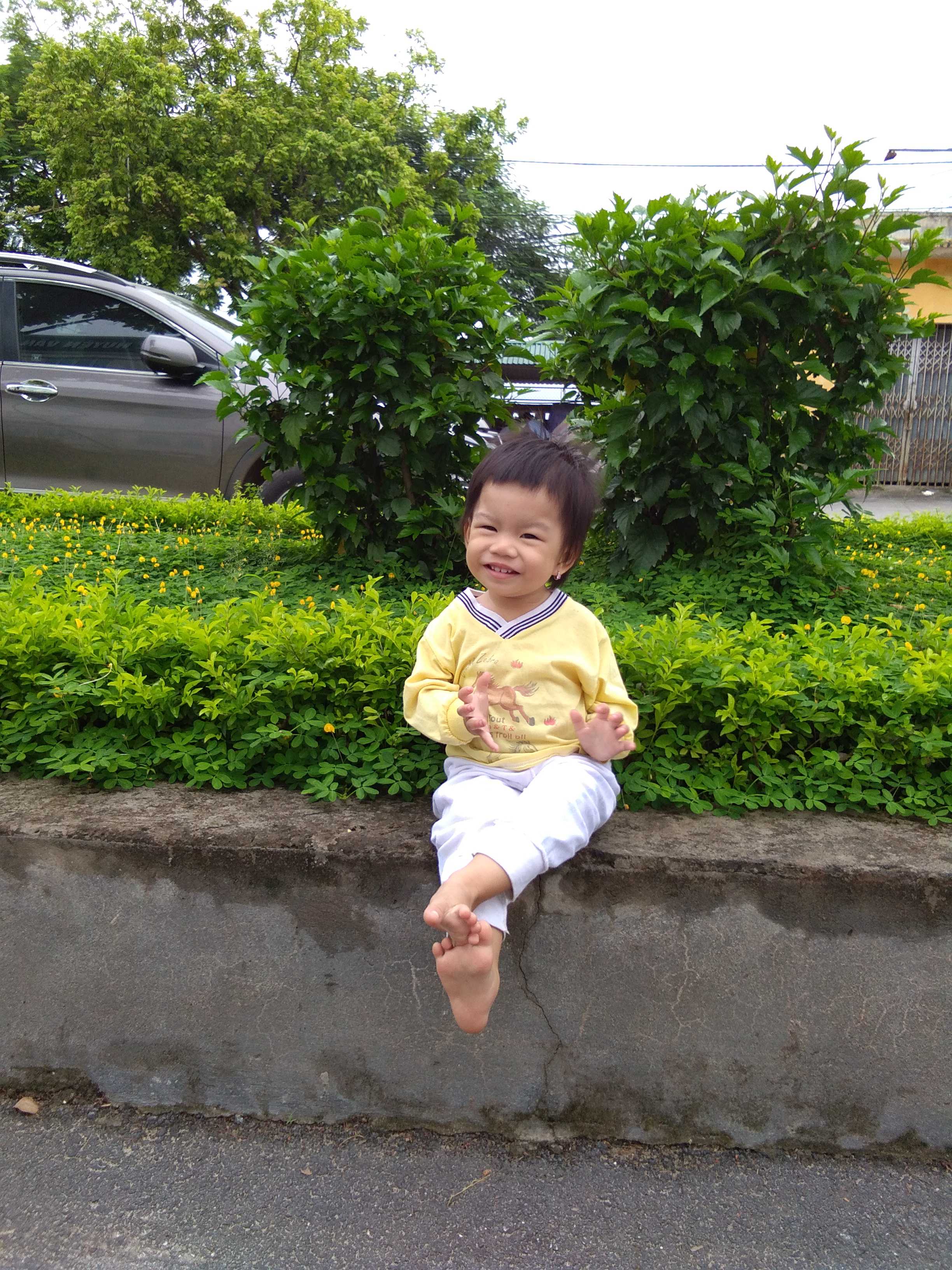 Gia han Hoang