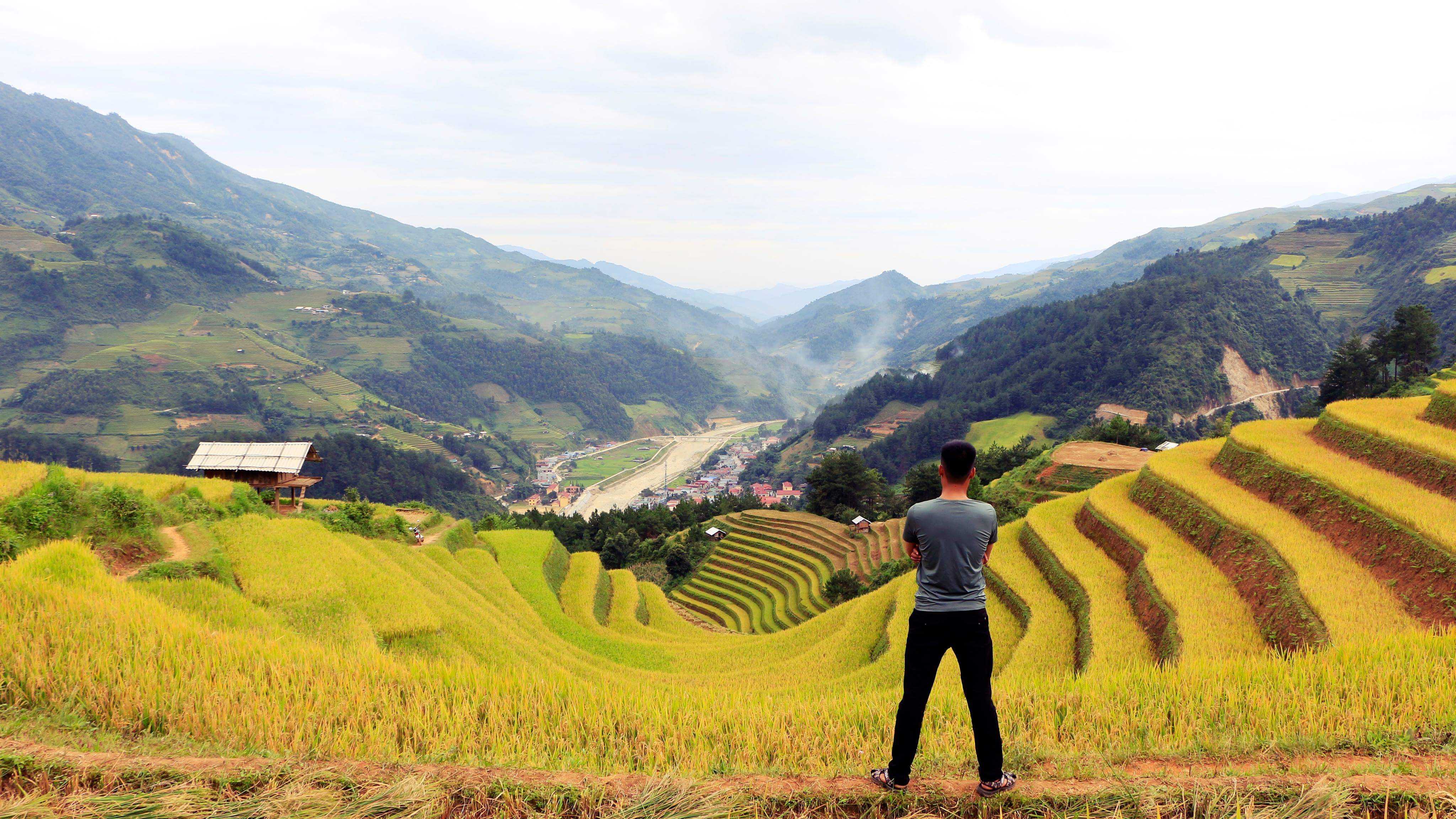 Dương Phạm