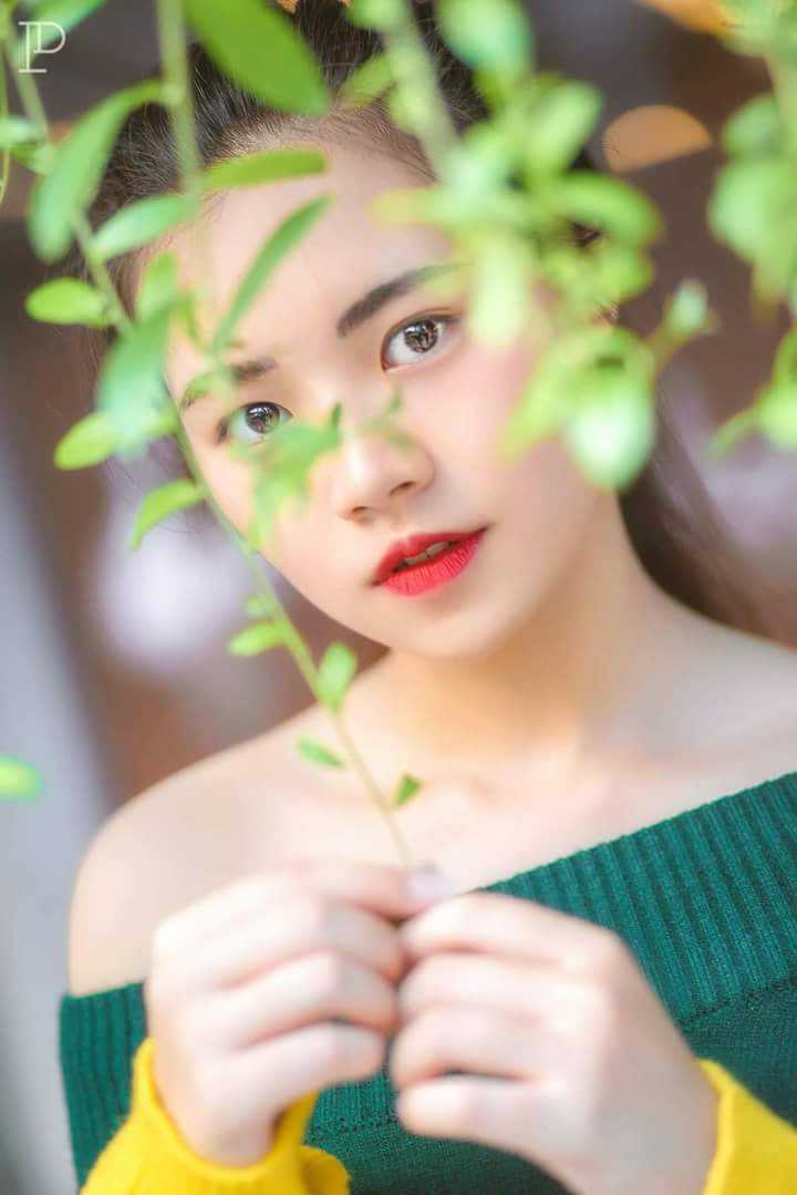 Trinh Lê