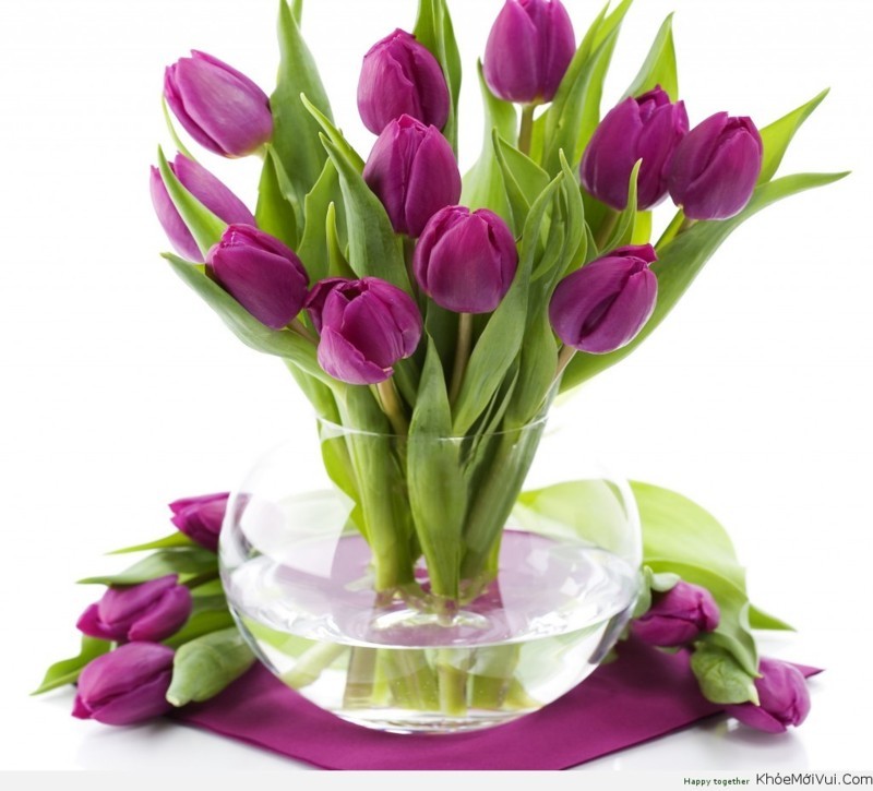 Shop Hoa Tươi Sài Gòn ( Hoa Tươi Đẹp ) Hoatuoivannam.com