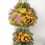 Shop Hoa Tươi Hồ Thị Kỷ Quận 10 TPHCM | Hoatuoivannam.com