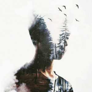 Son Tran