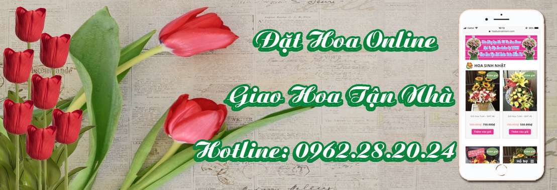 Dịch Vụ Hoa Tươi Đẹp TPHCM ( Giao Tận Nhà ) Hoatuoivannam.com