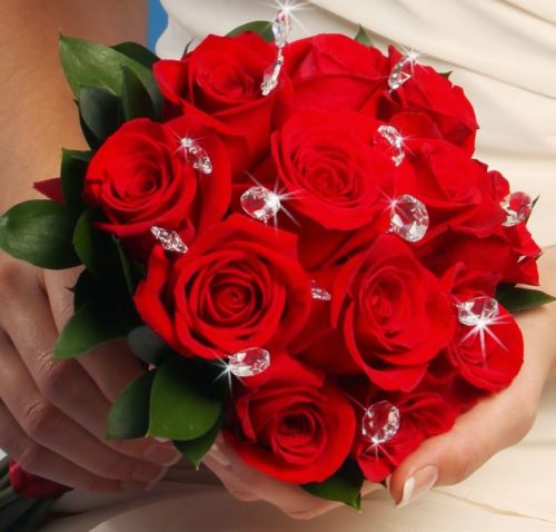 Ý nghĩa hoa hồng đỏ biểu tượng cho tình yêu - Misshoa.com