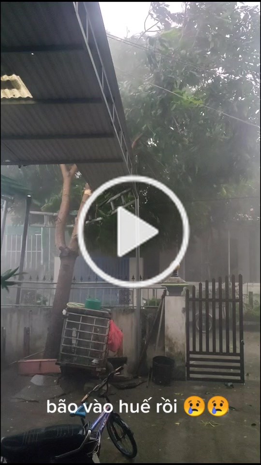 MạnhCườnq(@10081998cuong) on TikTok: thiên nhiên thật khốc liệt??