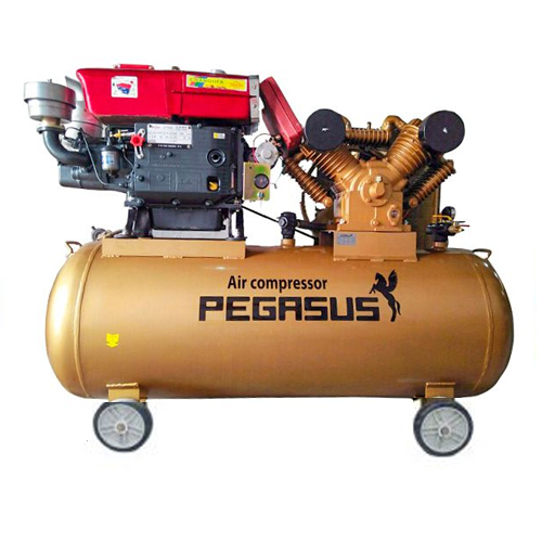 Máy nén khí Pegasus TM-W-1.0/8-330L đầu nổ