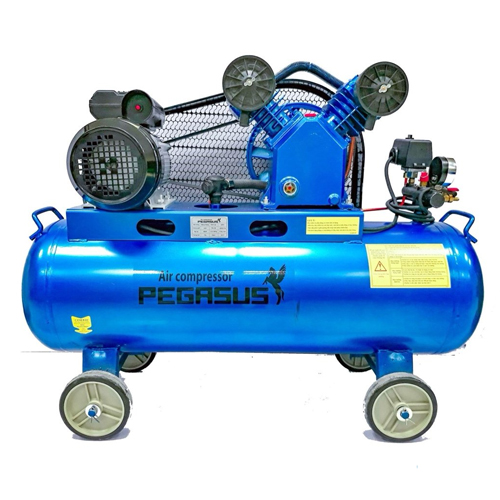 Báo giá máy nén khí Pegasus TM-W-0.36/8-180L || Thiết bị Việt Á