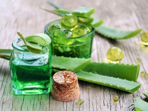 Làm kem dưỡng da ban đêm bằng nha đam