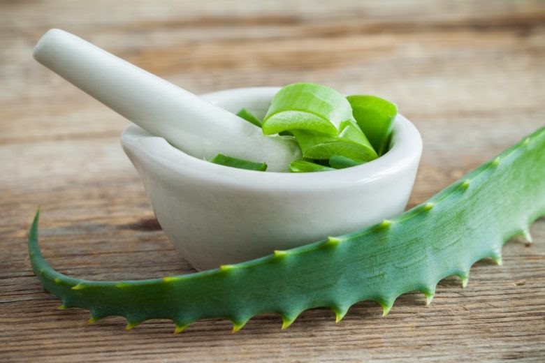 Lợi ích của nha đam đối với sắc đẹp và sức khỏe