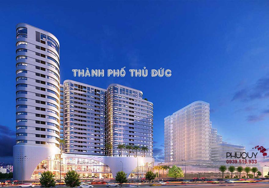 Shop hoa lan hồ điệp - Địa điểm chuyên bán lan hồ điệp Thành Phố Thủ Đức - Hoa lan Hồ Điệp - HOA LAN PHÚ QUÝ