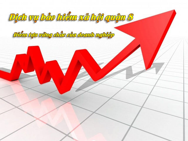 Dịch vụ bảo hiểm xã hội (bhxh) Quận 8 điểm tựa vững chắc của DN