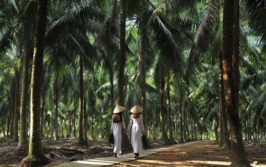 Ben Tre Flower shop - Flower Delivery in Ben Tre - Send Flowers & Gifts online to Vietnam | Flower Delivery in VietNam | Phu Quy Flowers