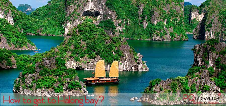 How to get to Halong bay : Handbook from A to Z - Send Flowers & Gifts online to Vietnam | Flower Delivery in VietNam | Phu Quy Flowers