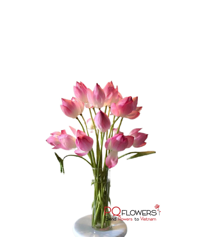 Noble - 18 Lotus Flowers Vase 7667 - Send Flowers & Gifts online to Vietnam | Flower Delivery in VietNam | Phu Quy Flowers