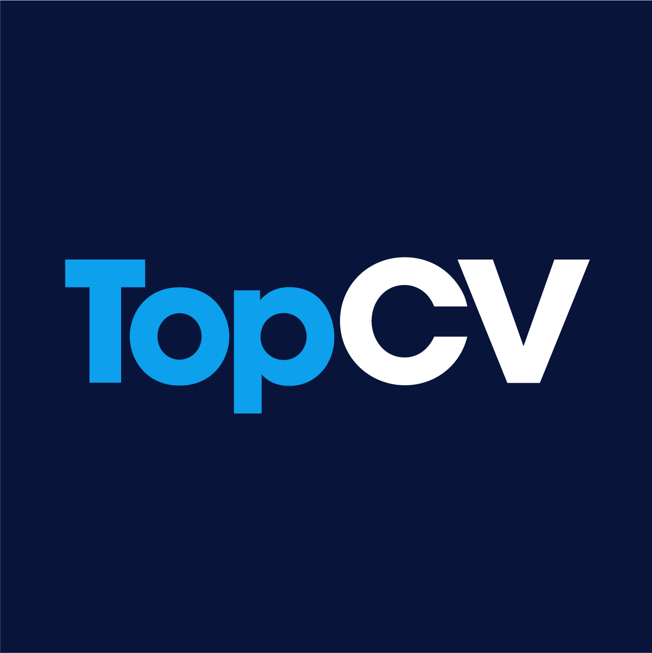 Professional CV, Cover Letter and LinkedIn Writing Services - CV Services | TopCV