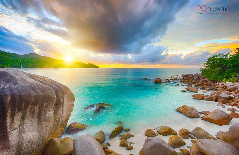 Top 7 most beautiful beaches in Vietnam - Send Flowers & Gifts online to Vietnam | Flower Delivery in VietNam | Phu Quy Flowers