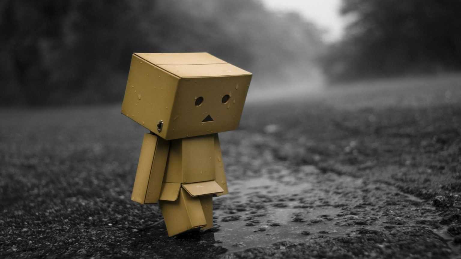 Nam Bảo