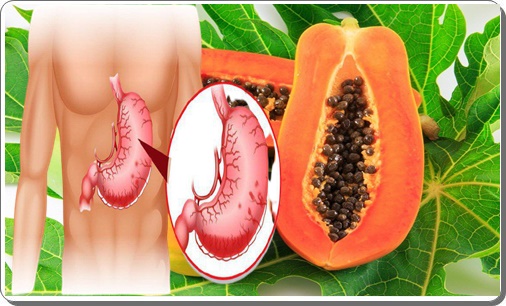 Đu Đủ Rất Ngon Giàu Vitamin Và Khoáng Chất Thích Hợp Mọi Nhà : Nhưng Lại Trở Thành "ĐẠI KỴ" Đối Với Nhóm Người Sau : – Sài Gòn 1080
