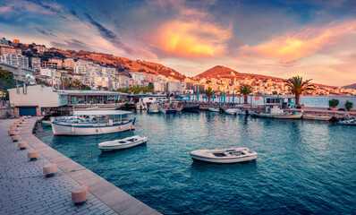 alegria cavin