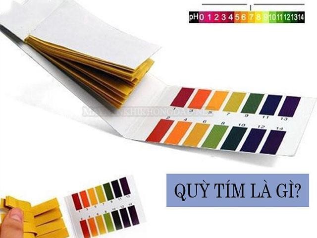 Giấy quỳ tím là gì? Phân loại và ứng dụng của quỳ tím