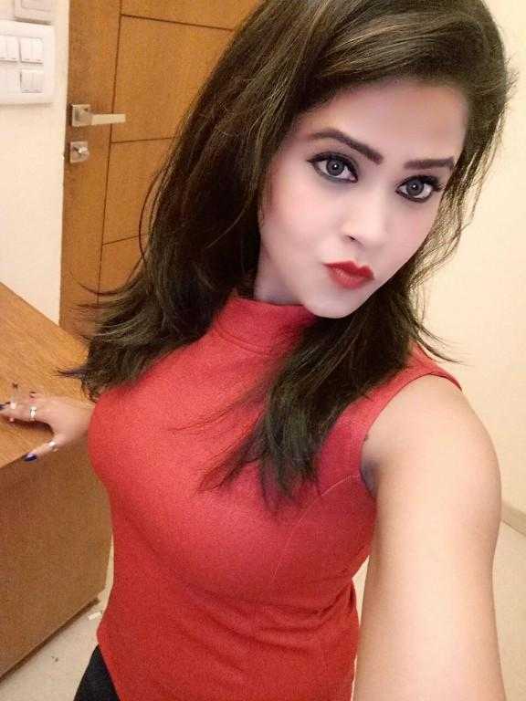 Soviamirza model