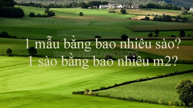 1 Mẫu bằng bao nhiêu sào? 1 Sào bằng bao nhiêu m2?