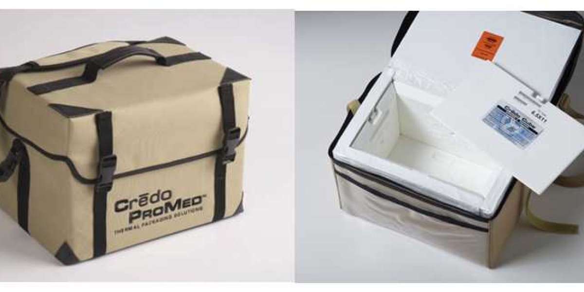 Global Temperature Controlled Packaging Solutions Market is anticipated to grow with a CAGR of more than 9% during 2022