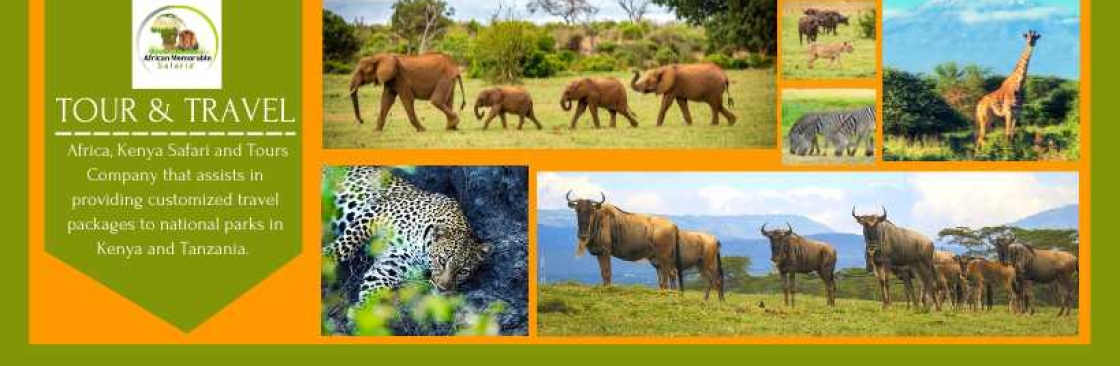 African Memorable Safaris