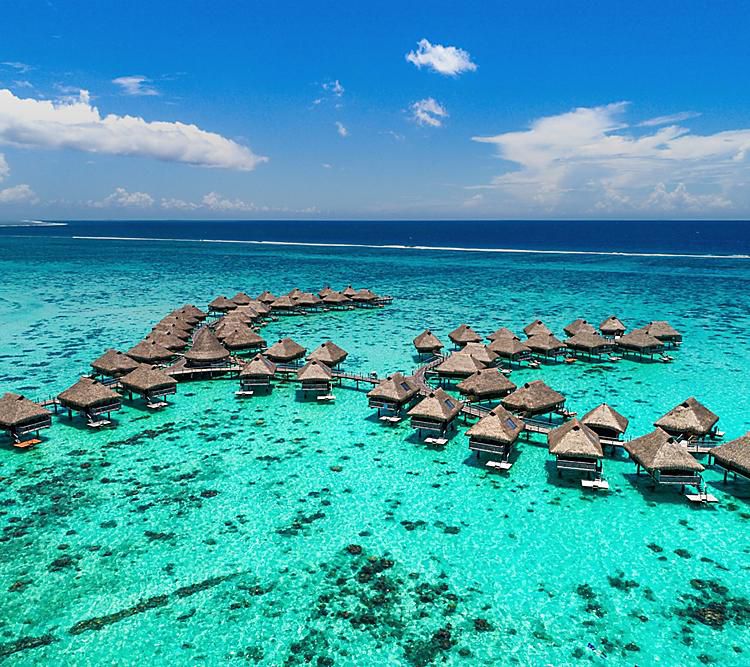 Chuyển phát nhanh đi Fiji - giadinhbe