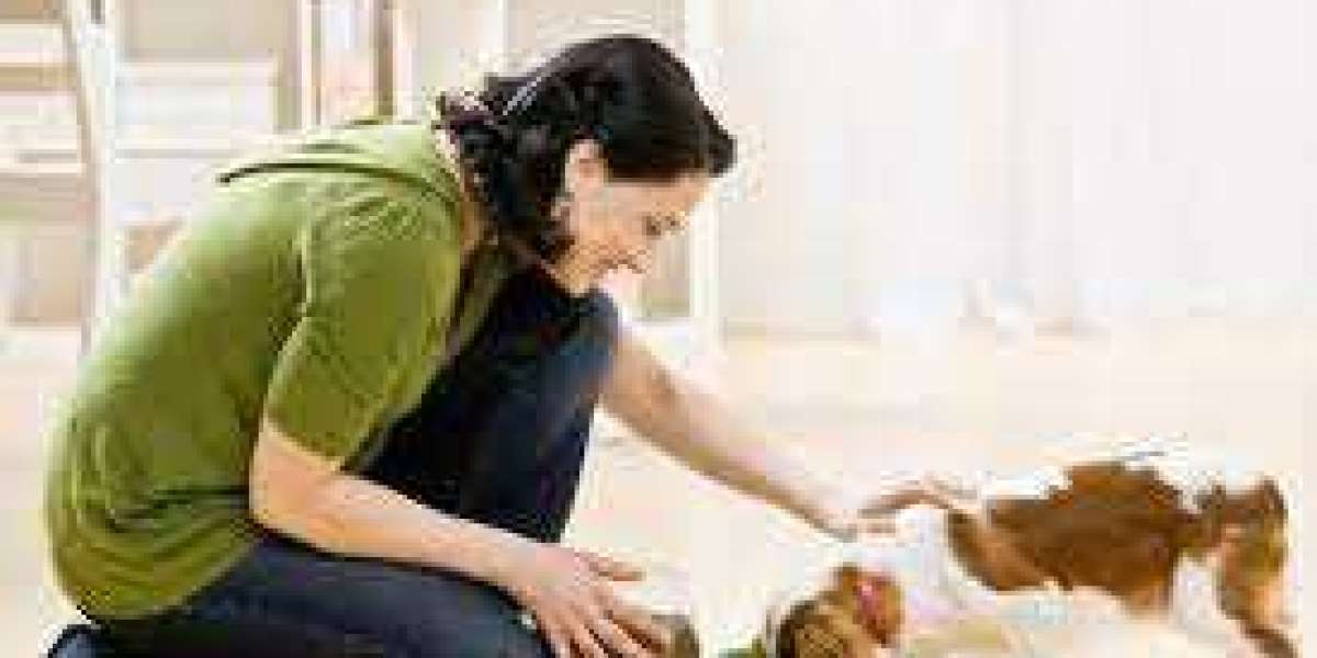 Global Pet Care (Food, Healthcare, Accessories, Grooming) Market Outlook, 2025 is an amalgamation of pet food, pet acce