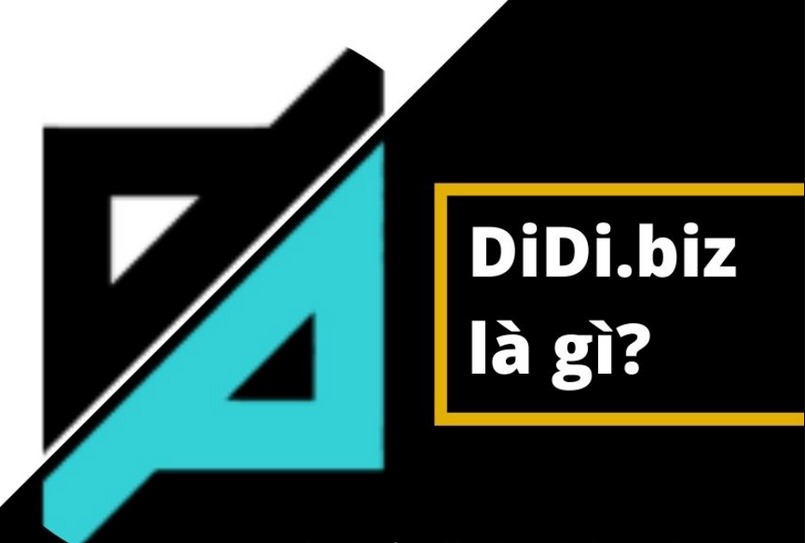 Didi Biz là gì? Sàn Didi Biz có **** nhà đầu tư không?