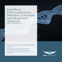 Capillary Electrophoresis Market - Industry Analysis, Trends & Forecast 2031 | BIS Research