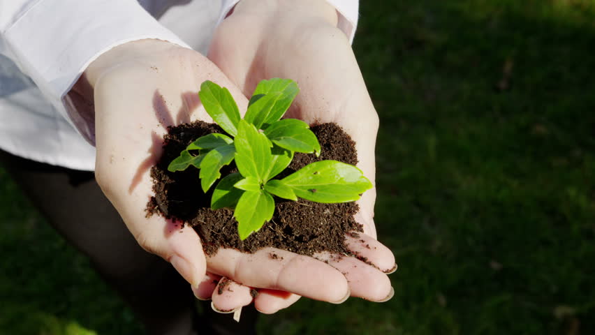 ISO 14001 Certification in Bahrain