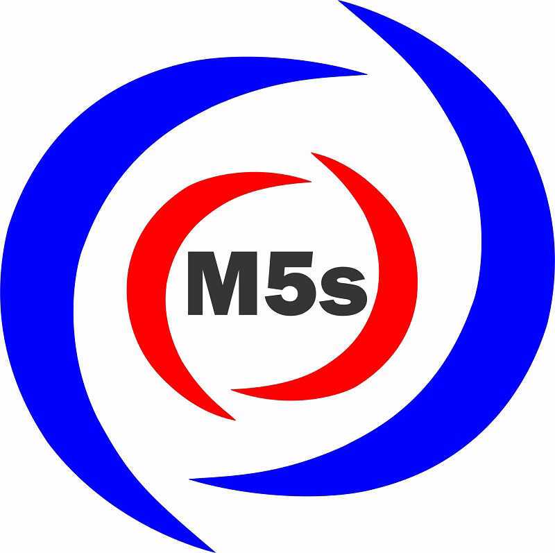 Máy xay giò chả M5s