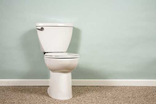 thetoilet helper
