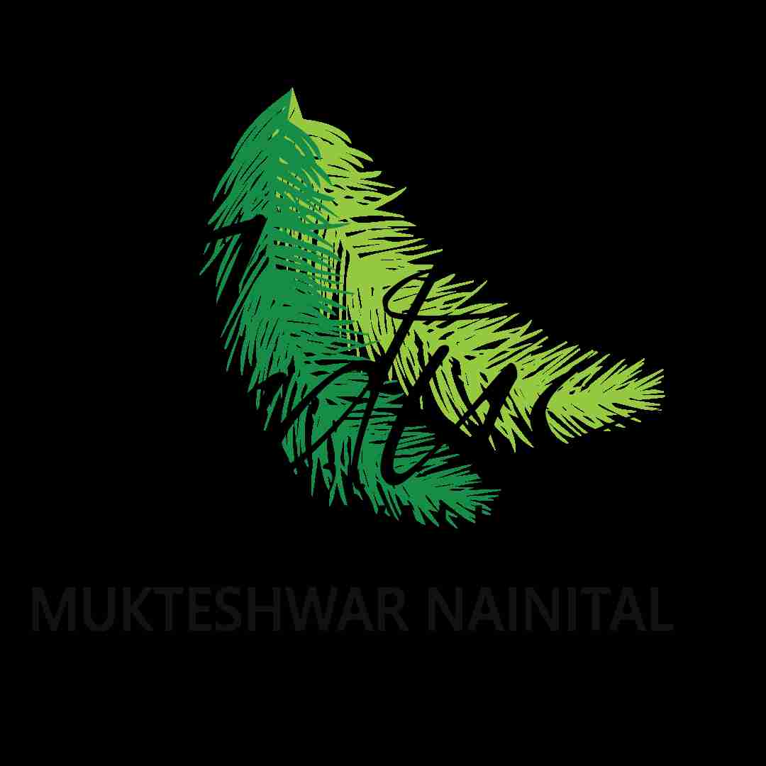 Indus Valley Mukteshwar