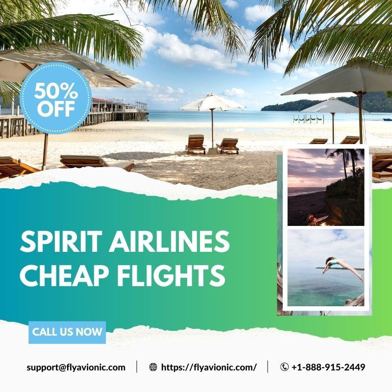 Spirit Airlines Cheap flights | +1-888-915-2449 - JustPaste.it
