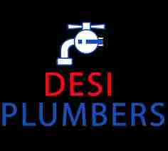 desi plumbers