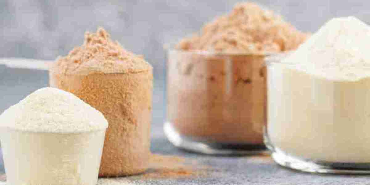 Protein Supplements Market Analysis 2023-2028, Industry Size, Share, Trends and Forecast