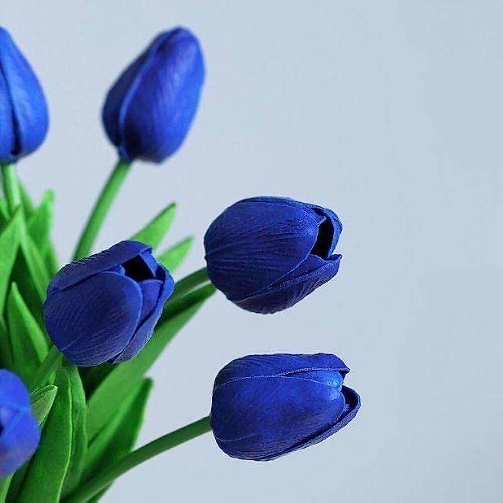Ý nghĩa của hoa tulip xanh | bó hoa tulip xanh đẹp nhất 2023