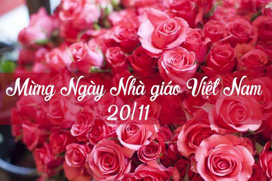 Tổng hợp mẫu hoa 20-11 ý nghĩa nhất 2023