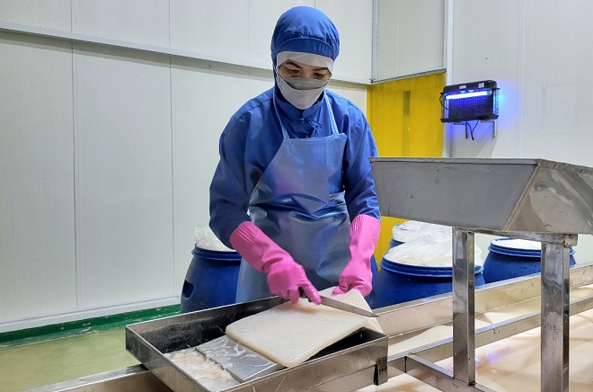 Quy Trình Sản Xuất Thạch Dừa Và Đóng Gói Tự Động - Anpha Tech