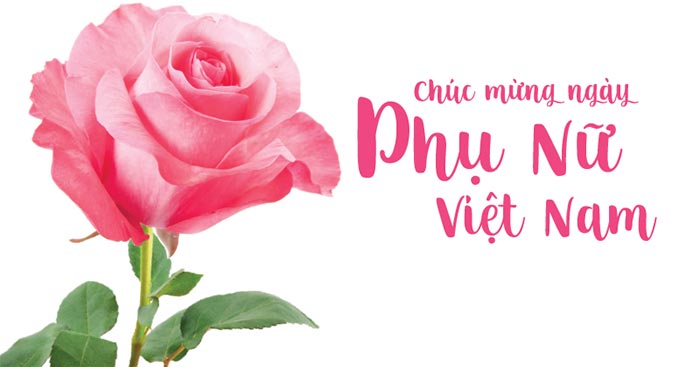 Tặng hoa 20 10 cho người yêu: 7 Loại hoa tặng cho người yêu ngày 20/10 đẹp, ý nghĩa nhất