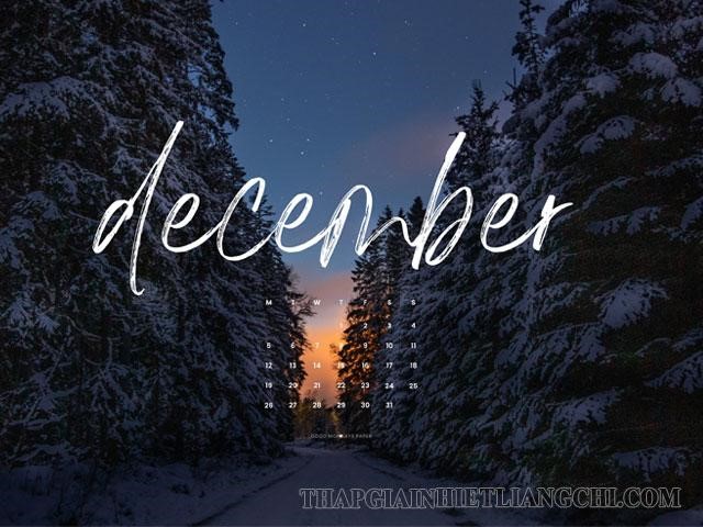 Dec là tháng mấy trong tiếng anh? Cách sử dụng december trong câu