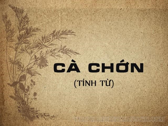 Cà chớn là gì? Cà chớn hay cà trớn? Nguồn gốc, ý nghĩa