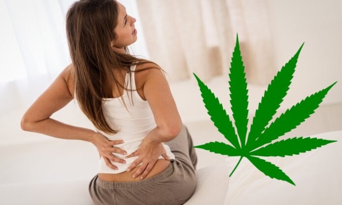 MedallionCBD US