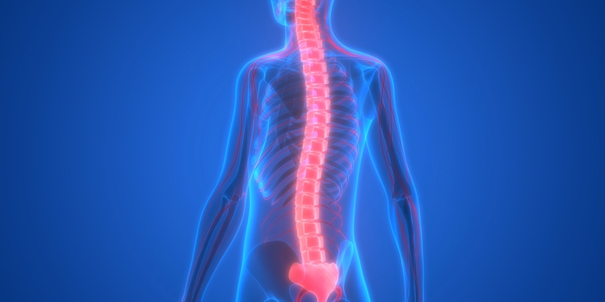 Navigating Life with Global Spastic Paraplegia 50: Coping Strategies and Support Resources